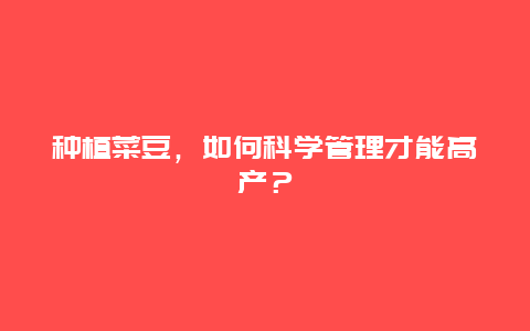 种植菜豆，如何科学管理才能高产？