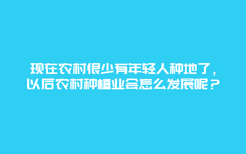 现在农村很少有年轻人种地了，以后农村种植业会怎么发展呢？