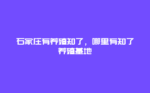 石家庄有养殖知了，哪里有知了养殖基地