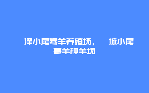 菏泽小尾寒羊养殖场，郓城小尾寒羊种羊场