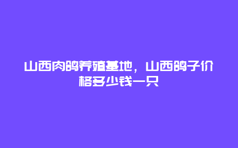 山西肉鸽养殖基地，山西鸽子价格多少钱一只