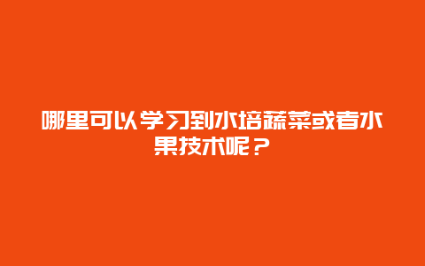 哪里可以学习到水培蔬菜或者水果技术呢？