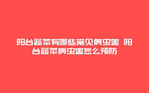 阳台蔬菜有哪些常见病虫害 阳台蔬菜病虫害怎么预防