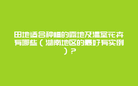 田地适合种植的露地及温室花卉有哪些（湖南地区的最好有实例）？