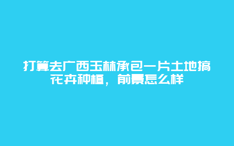 打算去广西玉林承包一片土地搞花卉种植，前景怎么样