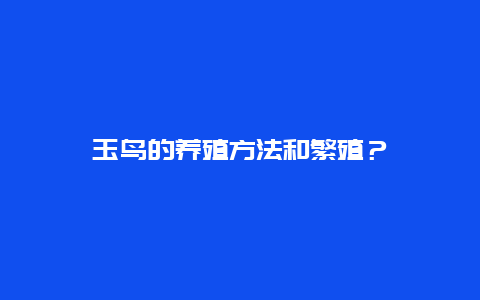 玉鸟的养殖方法和繁殖？