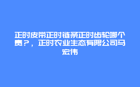 正时皮带正时链条正时齿轮哪个贵？，正时农业生态有限公司马宏伟