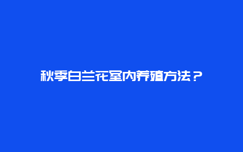 秋季白兰花室内养殖方法？