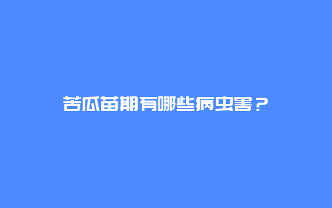 苦瓜苗期有哪些病虫害？