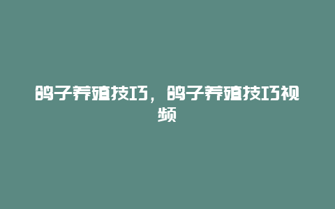 鸽子养殖技巧，鸽子养殖技巧视频