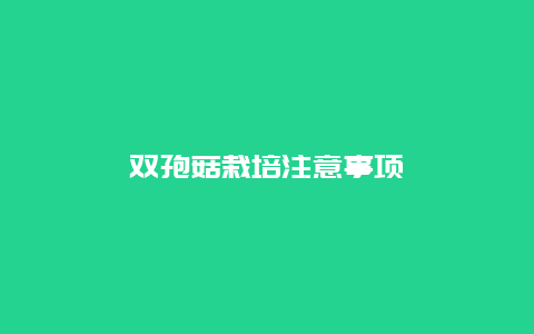 双孢菇栽培注意事项