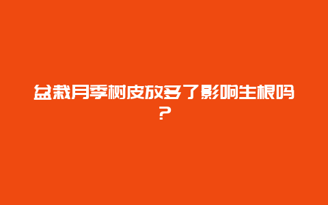 盆栽月季树皮放多了影响生根吗？