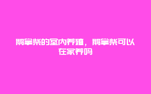 鹅掌柴的室内养殖，鹅掌柴可以在家养吗