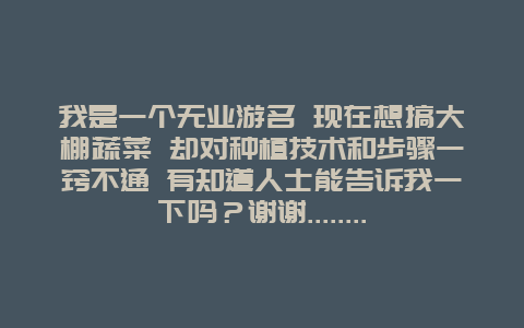 我是一个无业游名 现在想搞大棚蔬菜 却对种植技术和步骤一窍不通 有知道人士能告诉我一下吗？谢谢……..