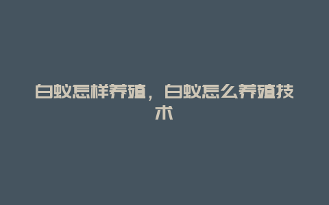 白蚁怎样养殖，白蚁怎么养殖技术