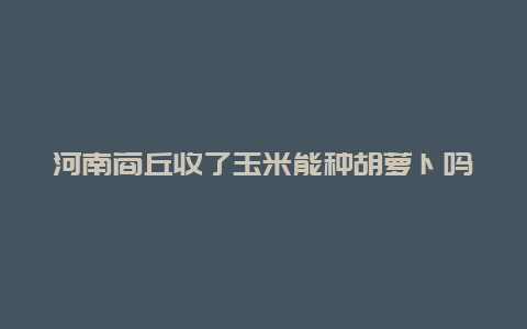 河南商丘收了玉米能种胡萝卜吗