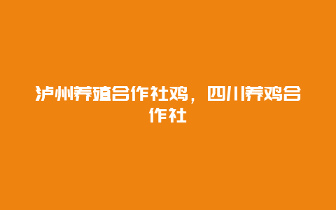 泸州养殖合作社鸡，四川养鸡合作社