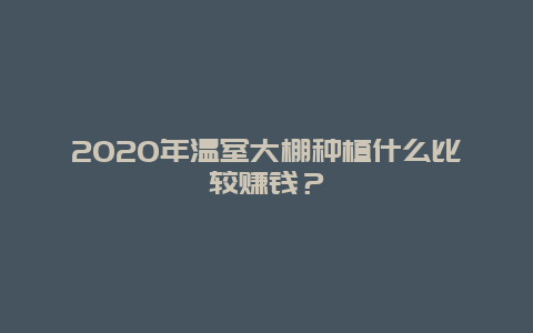 2020年温室大棚种植什么比较赚钱？