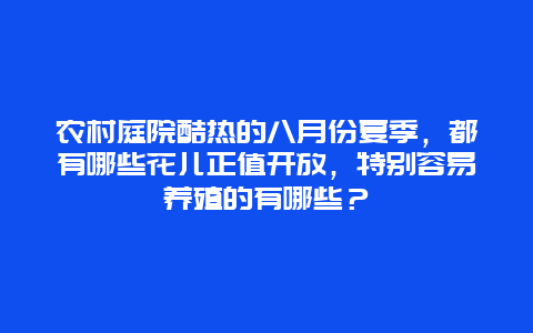 农村庭院酷热的八月份夏季，都有哪些花儿正值开放，特别容易养殖的有哪些？