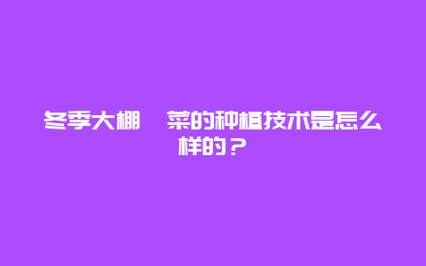 冬季大棚苋菜的种植技术是怎么样的？