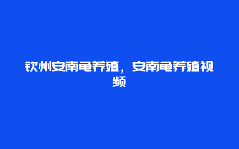 钦州安南龟养殖，安南龟养殖视频