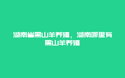 湖南省黑山羊养殖，湖南哪里有黑山羊养殖