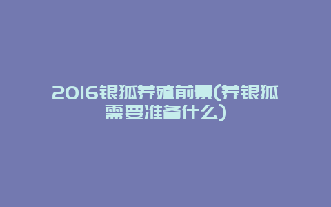 2016银狐养殖前景(养银狐需要准备什么)