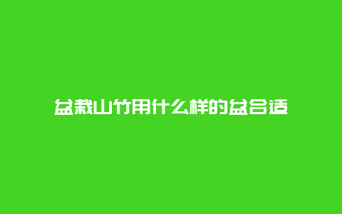 盆栽山竹用什么样的盆合适