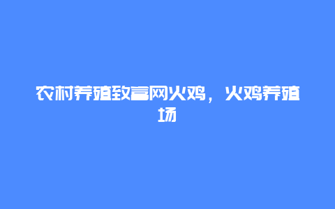 农村养殖致富网火鸡，火鸡养殖场