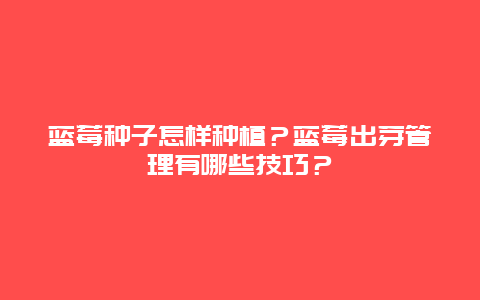 蓝莓种子怎样种植？蓝莓出芽管理有哪些技巧？