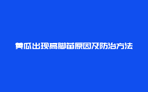 黄瓜出现高脚苗原因及防治方法