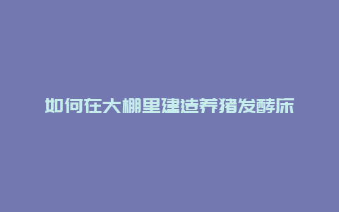 如何在大棚里建造养猪发酵床