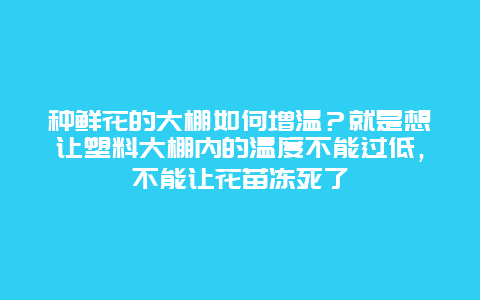 种鲜花的大棚如何增温？就是想让塑料大棚内的温度不能过低，不能让花苗冻死了