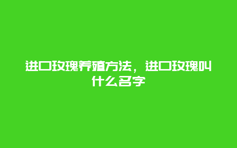进口玫瑰养殖方法，进口玫瑰叫什么名字_http://www.zhongzhihu.com_农业百科_第1张