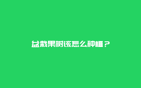 盆栽果树该怎么种植？