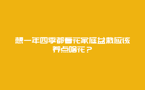 想一年四季都看花家庭盆栽应该养点啥花？