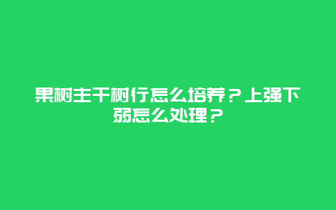 果树主干树行怎么培养？上强下弱怎么处理？