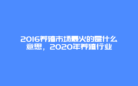 2016养殖市场最火的是什么意思，2020年养殖行业