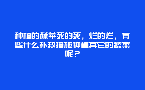 种植的蔬菜死的死，烂的烂，有些什么补救措施种植其它的蔬菜呢？