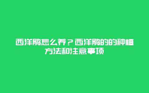 西洋鹃怎么养？西洋鹃的的种植方法和注意事项