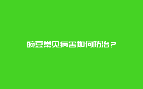 豌豆常见病害如何防治？