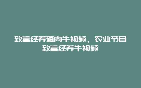 致富经养殖肉牛视频，农业节目致富经养牛视频