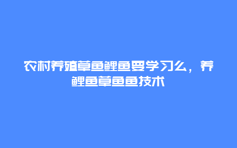 农村养殖草鱼鲤鱼要学习么，养鲤鱼草鱼鱼技术