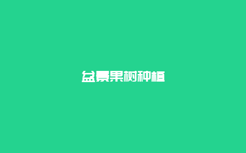 盆景果树种植