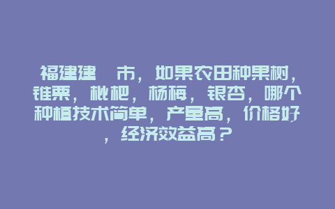 福建建瓯市，如果农田种果树，锥栗，枇杷，杨梅，银杏，哪个种植技术简单，产量高，价格好，经济效益高？