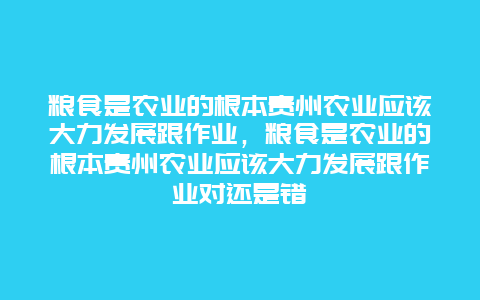 粮食是农业的根本贵州农业应该大力发展跟作业，粮食是农业的根本贵州农业应该大力发展跟作业对还是错