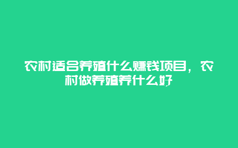 农村适合养殖什么赚钱项目，农村做养殖养什么好