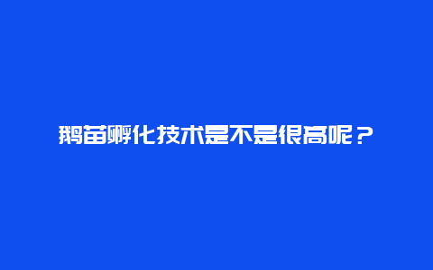 鹅苗孵化技术是不是很高呢？