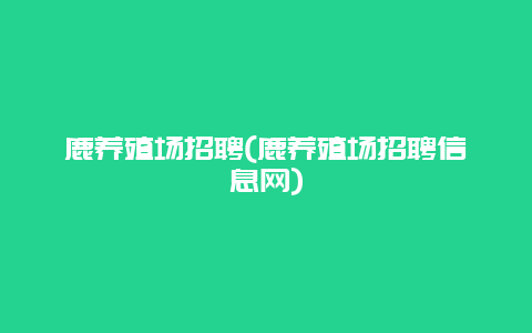 鹿养殖场招聘(鹿养殖场招聘信息网)