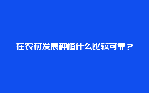 在农村发展种植什么比较可靠？